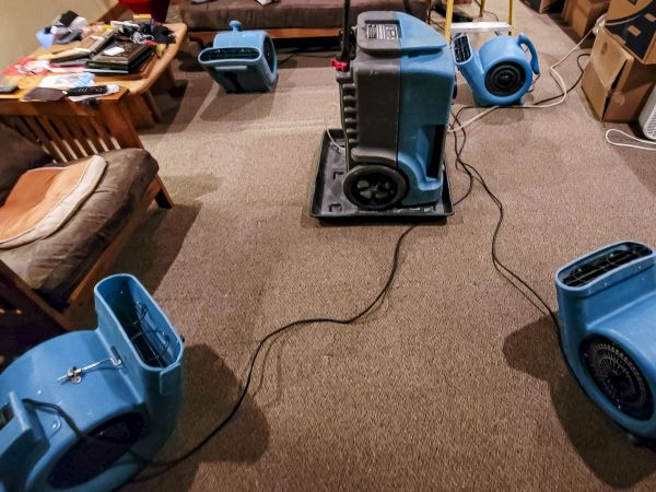 Cost of Flood Damage Recovery in Auburn