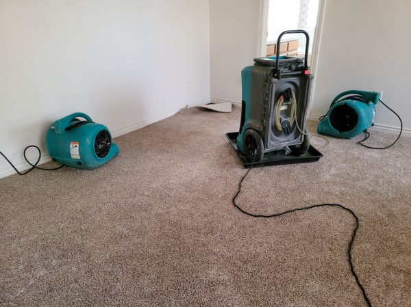 Cost of Flood Damage Repair in Auburn