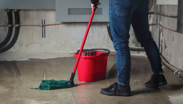 Cost of Flooded Basement Cleanup in Auburn