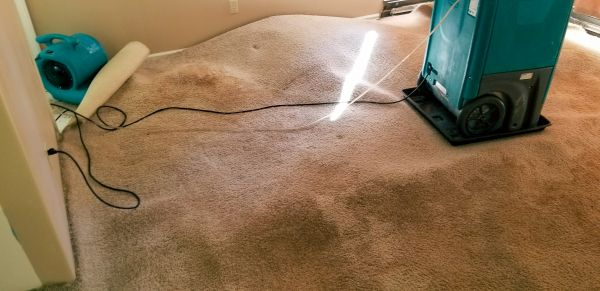 Cost of Flood Damage Cleanup in Auburn
