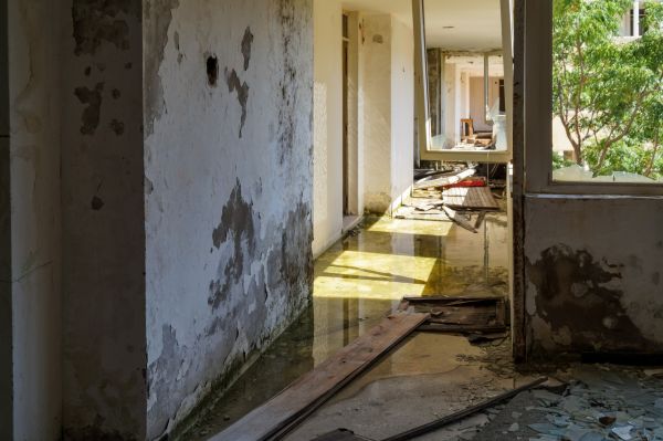 Cost of Water Removal Service in Auburn