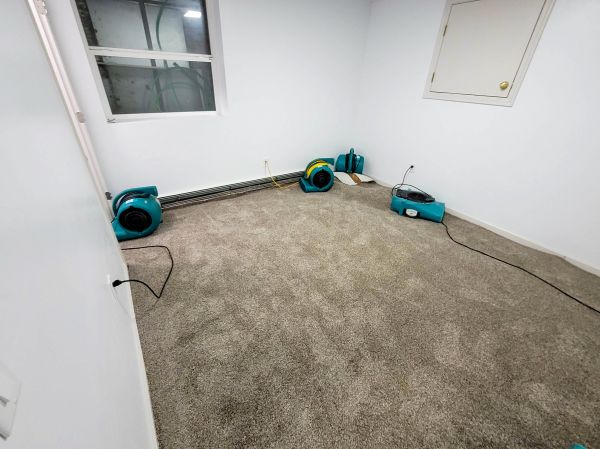 Cost of Flood Restoration Service in Auburn