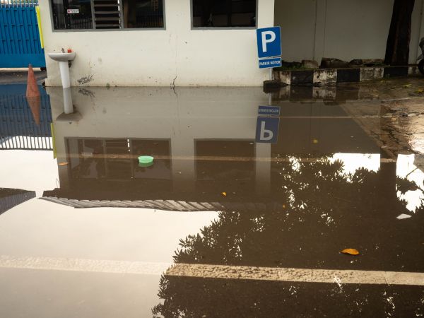 Cost of Storm Damage Repair in Auburn