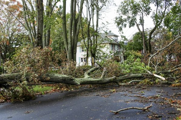 Cost of Tornado Damage Repair in Auburn