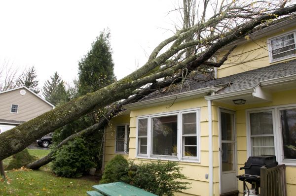 Cost of Hurricane Damage Repair in Auburn