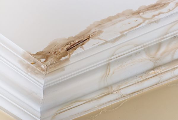 Cost of Water Damage Recovery in Auburn