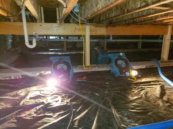 Cost of Crawlspace Water Removal in Auburn